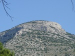 bol2008__1_.jpg
