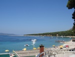 bol2008__2_.jpg