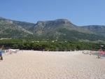 bol2008__5_.jpg