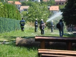 vjezbaskola__20_.jpg